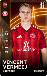 Vincent Vermeij - limited