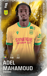 Adel Mahamoud - limited