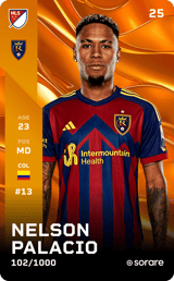 Nelson Palacio - limited