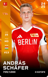 András Schäfer - limited