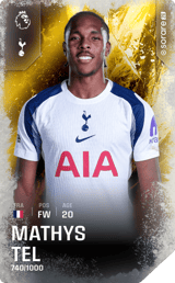 Mathys Tel - limited