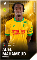 Adel Mahamoud - limited