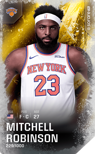 Mitchell Robinson - limited