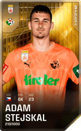 Adam Stejskal - limited