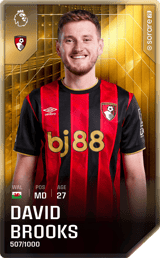 David Brooks - limited