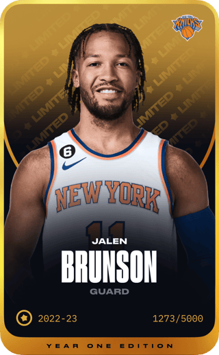 Jalen Brunson - limited