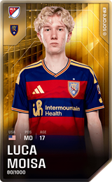 Luca Moisa - limited