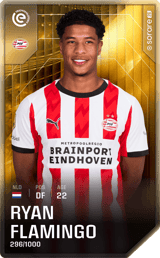 Ryan Flamingo - limited