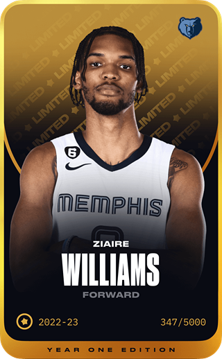 Ziaire Williams - limited