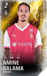 Amine Salama - limited