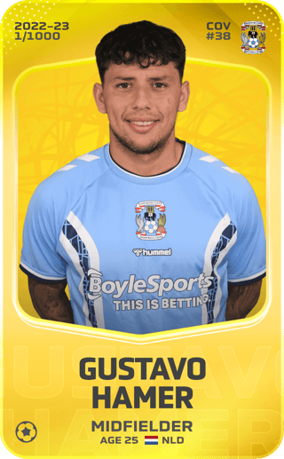 Gustavo Hamer