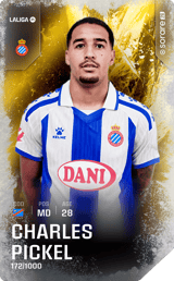 Charles Pickel - limited