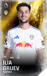 Ilia Gruev - limited