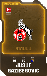 Jusuf Gazibegović - limited