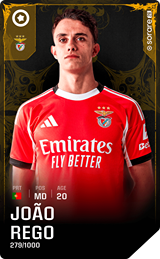 João Rêgo - limited