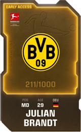 Julian Brandt - limited