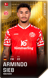 Armindo Sieb - limited