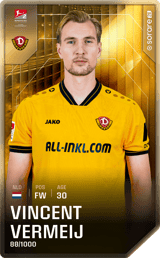 Vincent Vermeij - limited