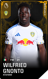 Wilfried Gnonto - limited