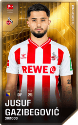 Jusuf Gazibegović - limited