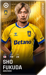 Sho Fukuda - limited