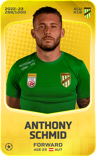 Anthony Schmid - limited