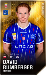 David Bumberger - limited