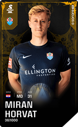 Miran Horvat - limited