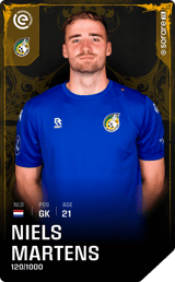 Niels Martens - limited