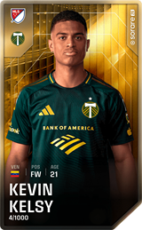 Kevin Kelsy - limited