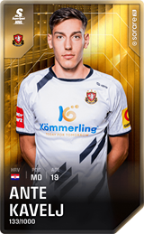 Ante Kavelj - limited