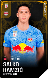 Salko Hamzić - limited