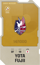 Yota Fujii - limited