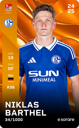 Niklas Barthel - limited