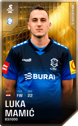 Luka Mamić - limited
