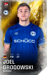 Joel Grodowski - limited