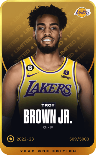 Troy Brown Jr. - limited