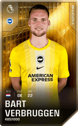 Bart Verbruggen - limited