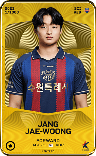 Jang Jae-Woong