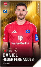 Daniel Heuer Fernandes - limited