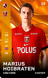 MARIUS HOIBRATEN - limited