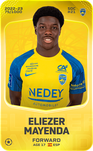 Eliezer Mayenda - limited