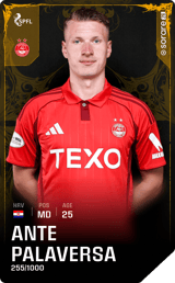 Ante Palaversa - limited