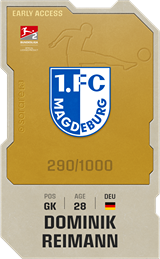 Dominik Reimann - limited
