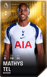 Mathys Tel - limited