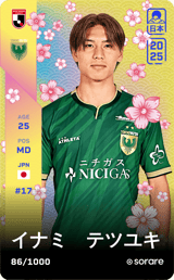 Tetsuyuki Inami - limited