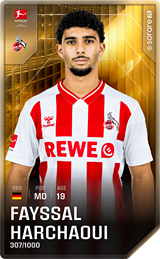 Fayssal Harchaoui - limited