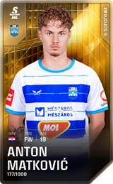 Anton Matković - limited