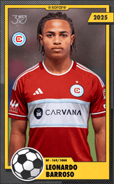 Leonardo Barroso - limited