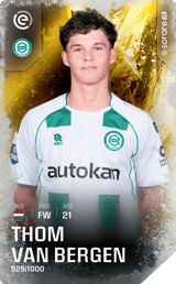 Thom van Bergen - limited